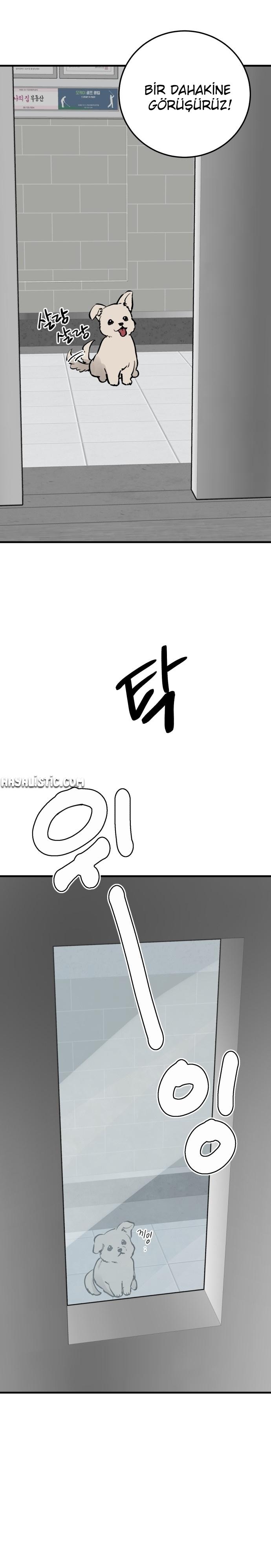 4-cm2xdfr0s0001tt82570od8ls