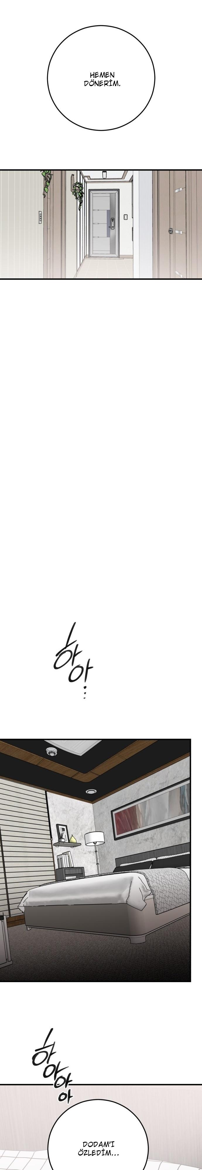 17-cm2xdfr0s0001tt82570od8ls