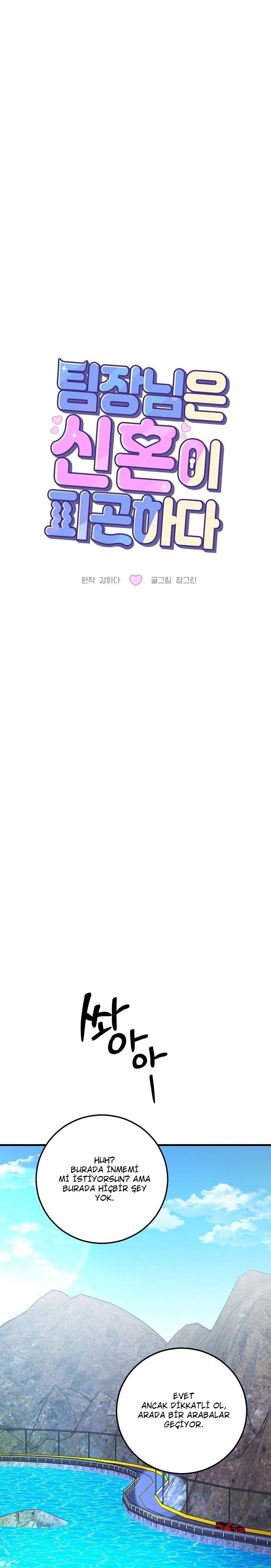4-cm2xdfr0s0001tt82570od8ls
