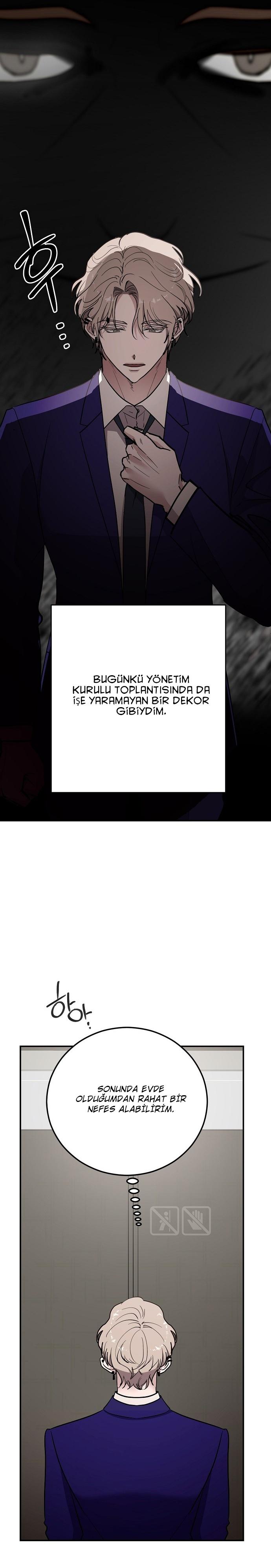 3-cm2xdfr0s0001tt82570od8ls
