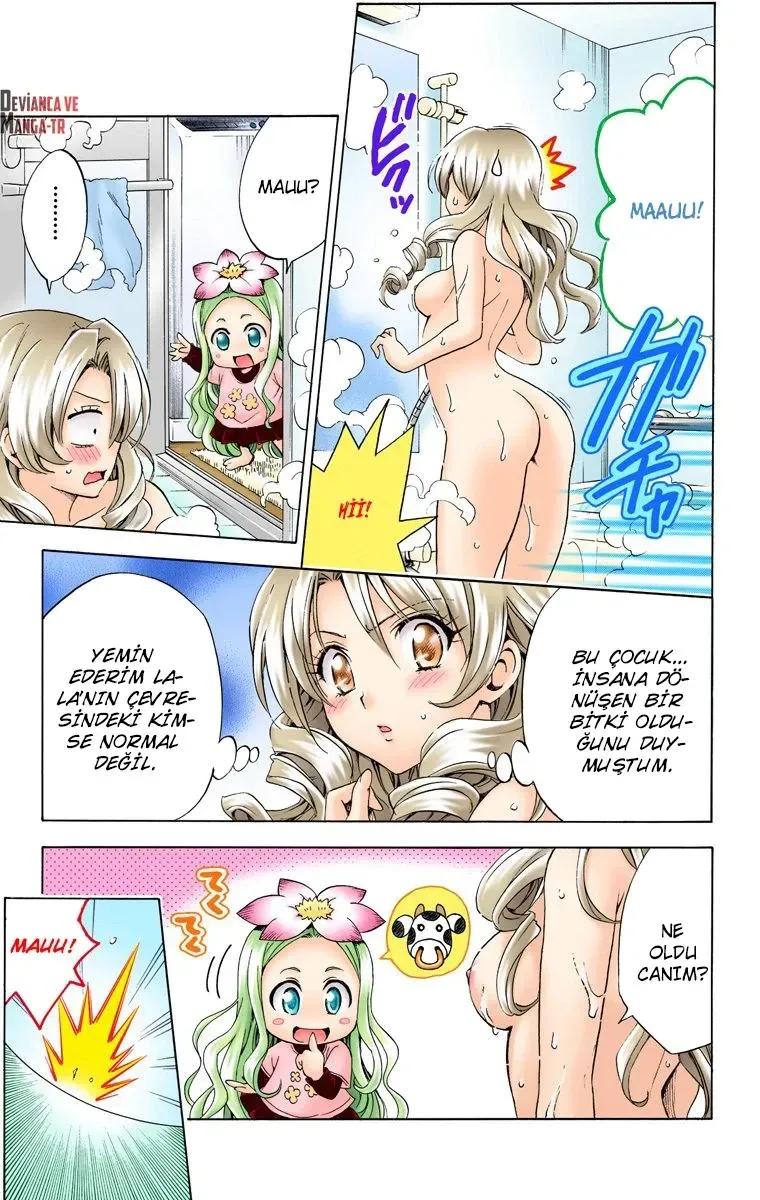 16-cmnq2268807i4ucwa0pciz3a1