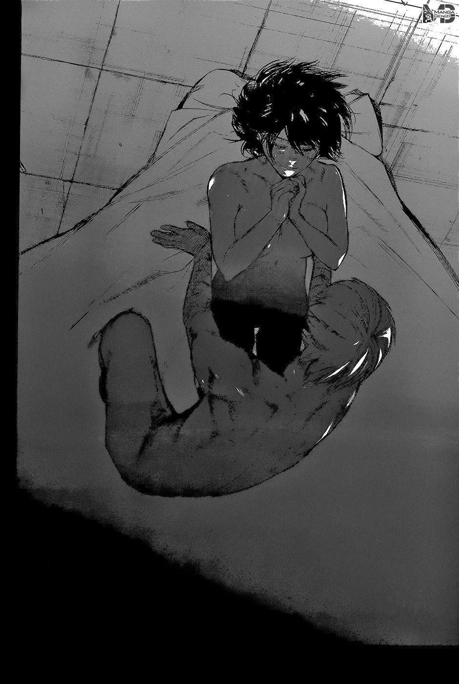 13-cmpmuko9p07yyucgfnb0oe328