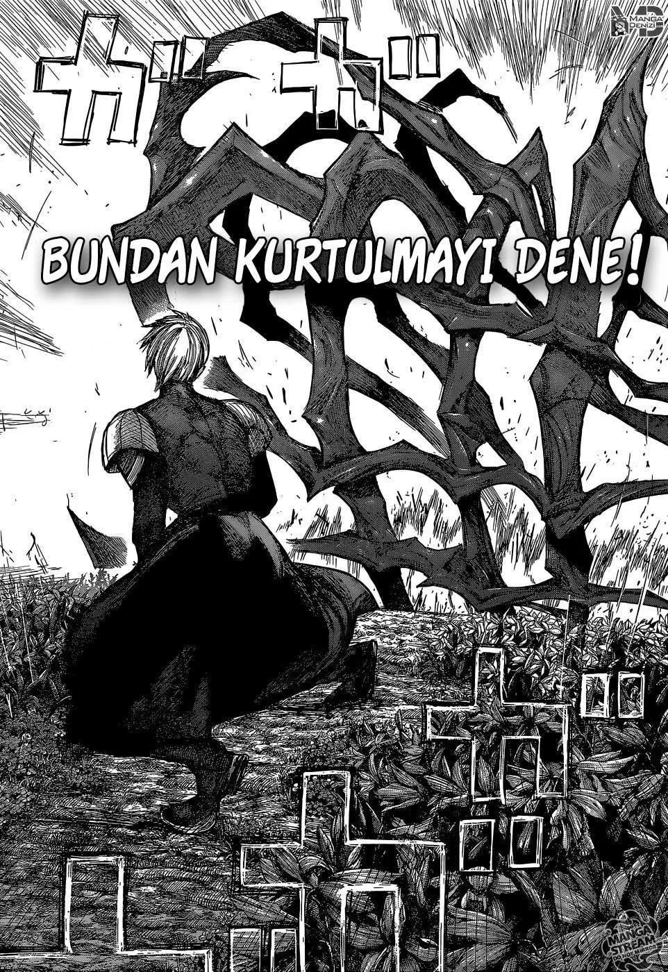 13-cmpmuko9p07yyucgfnb0oe328
