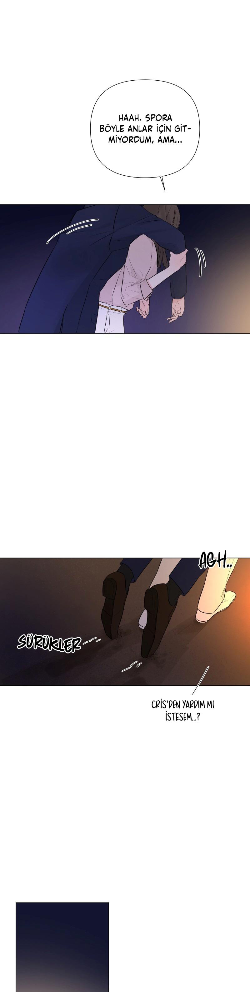 21-cm2xdfr0s0001tt82570od8ls