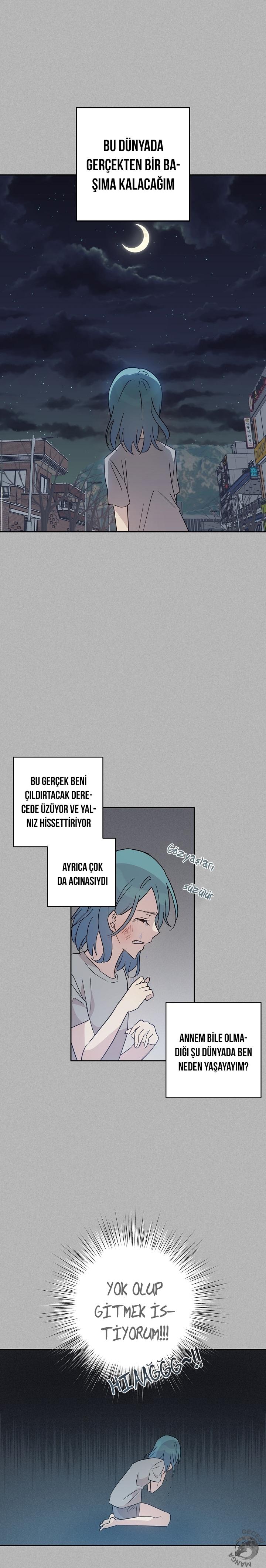 6-cm2xdfr0s0001tt82570od8ls