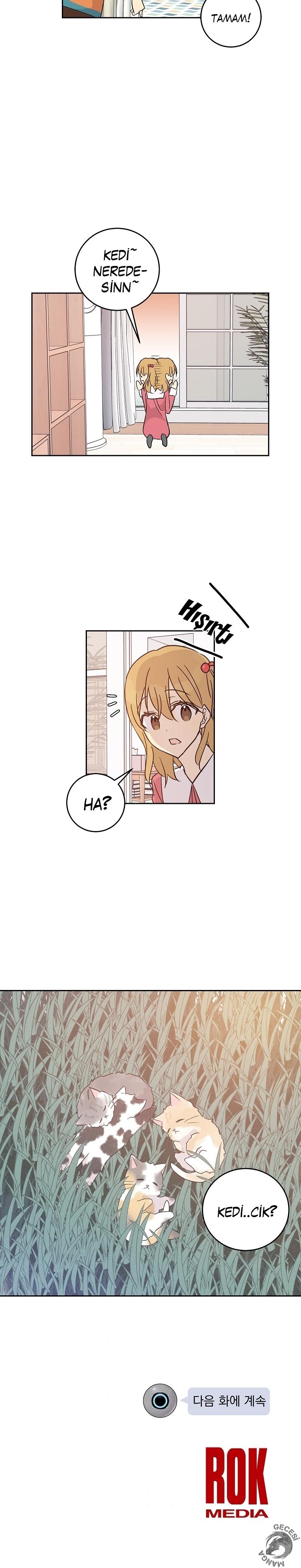 22-cm2xdfr0s0001tt82570od8ls