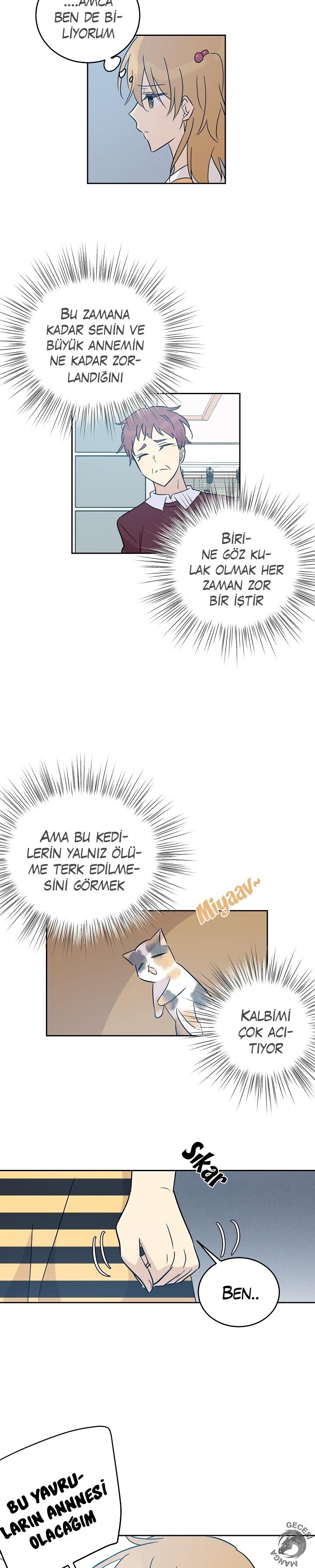 20-cm2xdfr0s0001tt82570od8ls