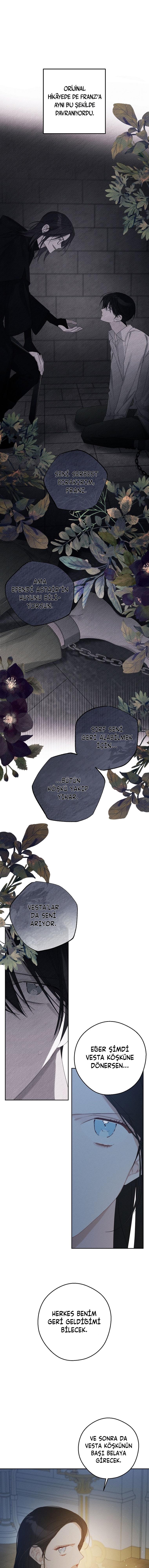 4-cmc1vvo430025phxcd4xhnki2