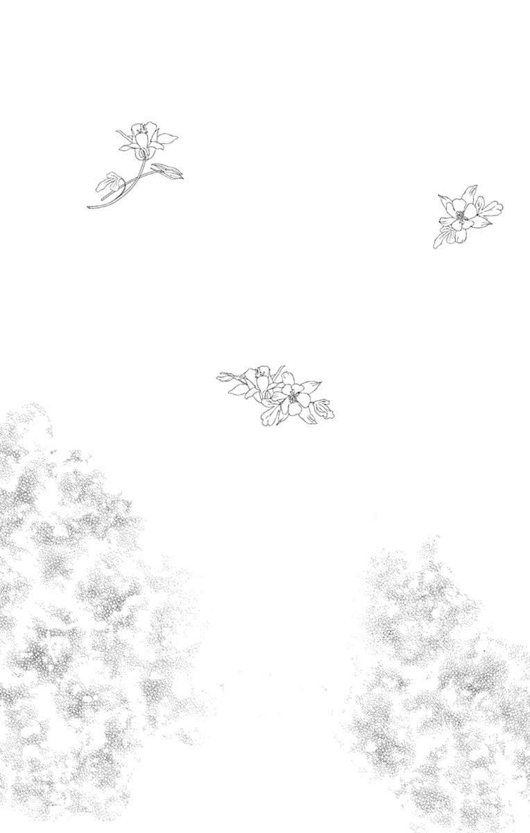 39-cm2yqj4xt0000p2ih0ibw6n7a