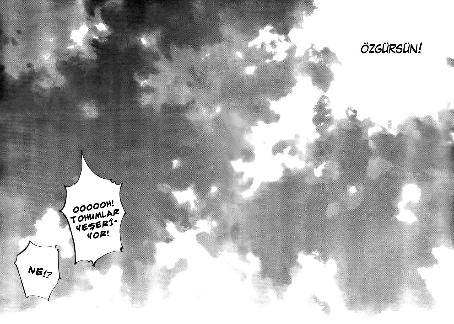 33-cm6cq9g7n0001ugugupru8x47