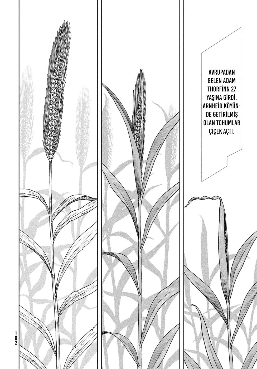3-cm6cq9g7n0001ugugupru8x47