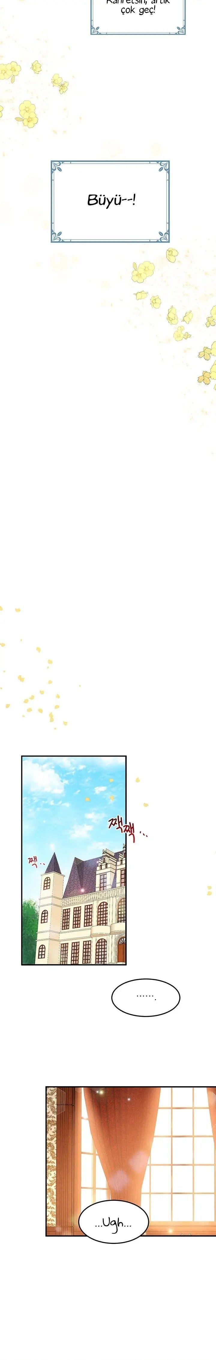 5-cmnq2268807i4ucwa0pciz3a1