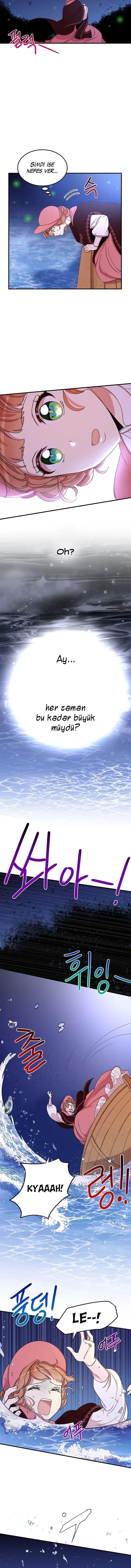7-cmnq2268807i4ucwa0pciz3a1