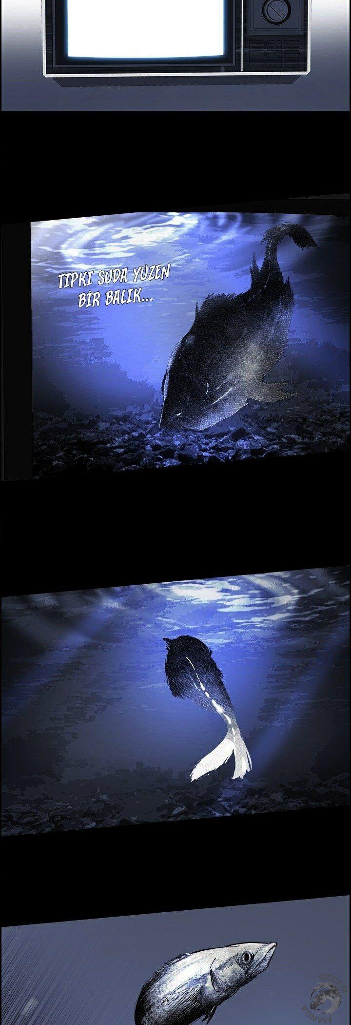 21-cmc1vvo430025phxcd4xhnki2