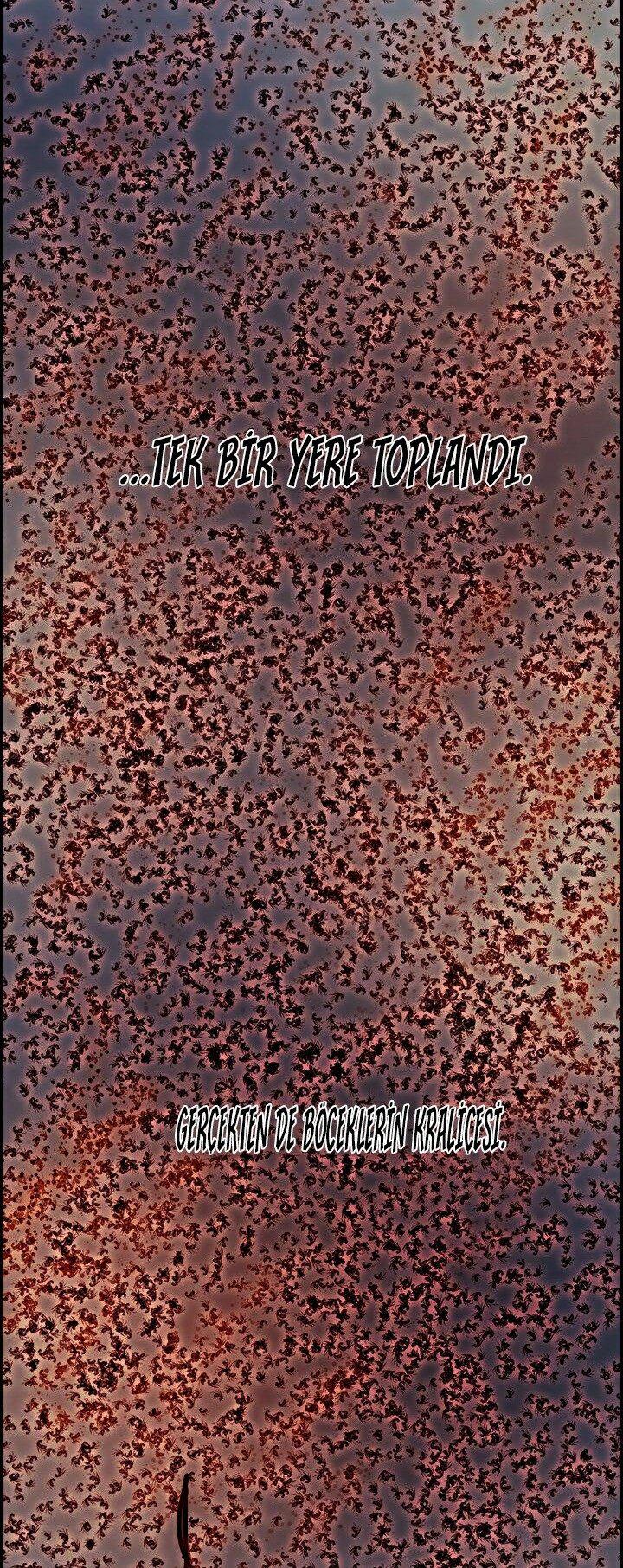 40-cmc1vvo430025phxcd4xhnki2