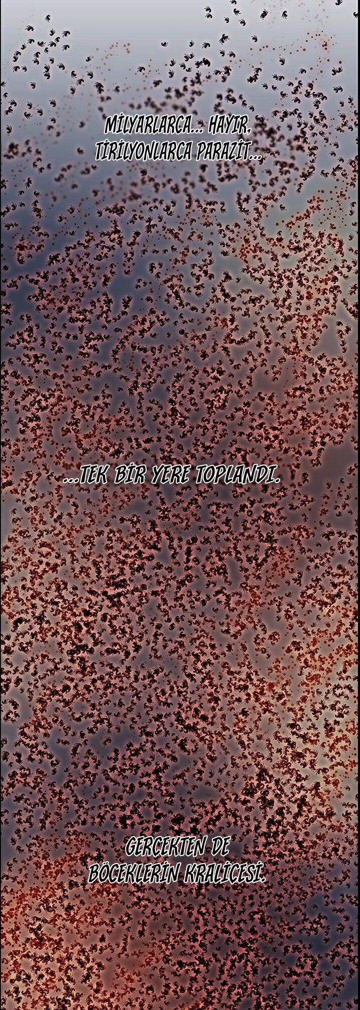 3-cmc1vvo430025phxcd4xhnki2