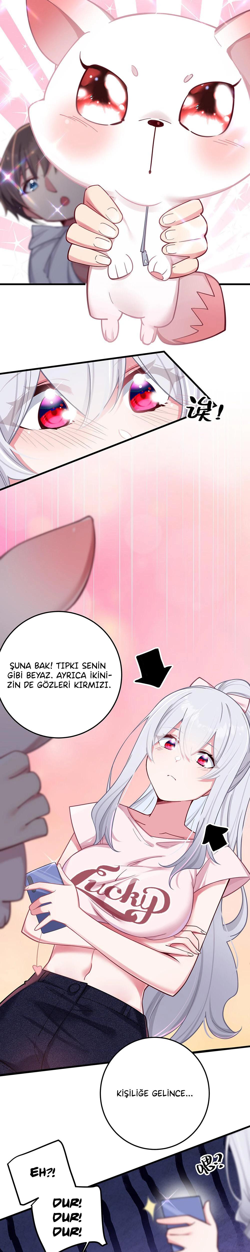 12-cm5ya3xt20000eovjogi0rsko