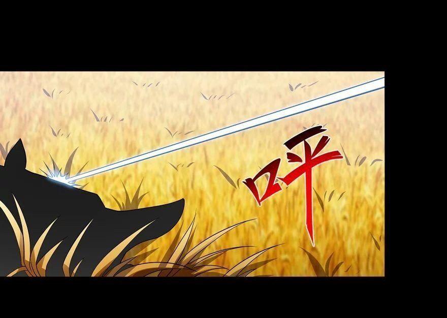 35-cm2stxsu300017c0k4w8rmhwl