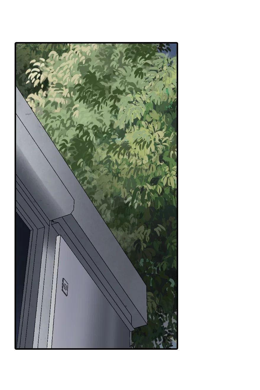 22-cm2stxsu300017c0k4w8rmhwl