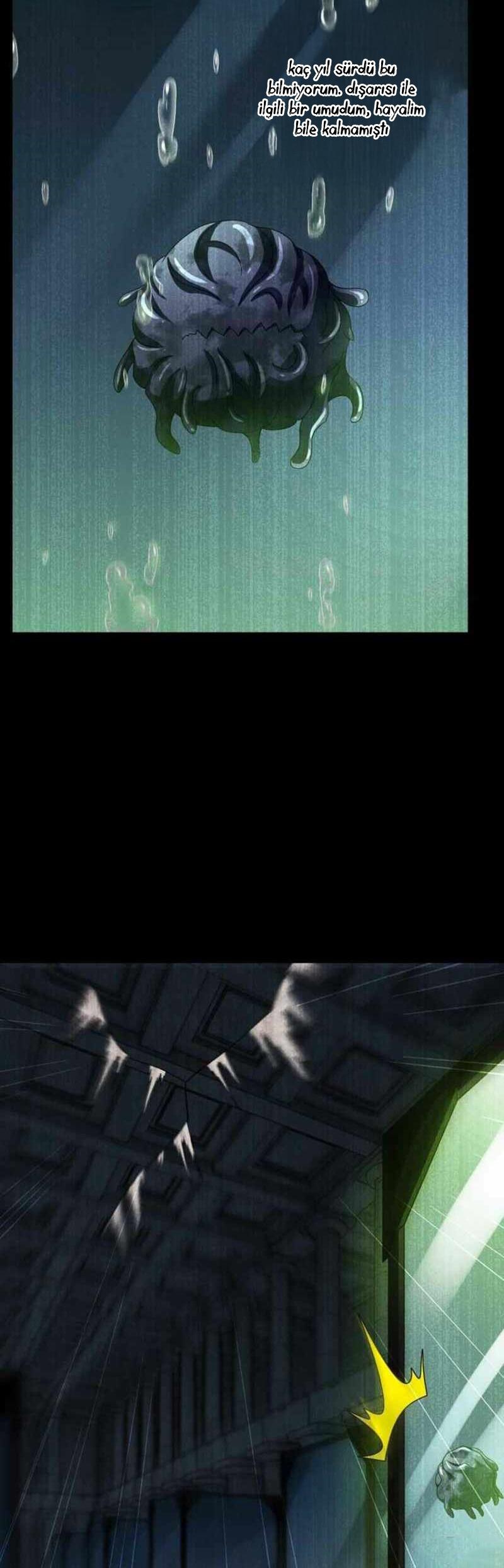 17-cm2xdfr0s0001tt82570od8ls