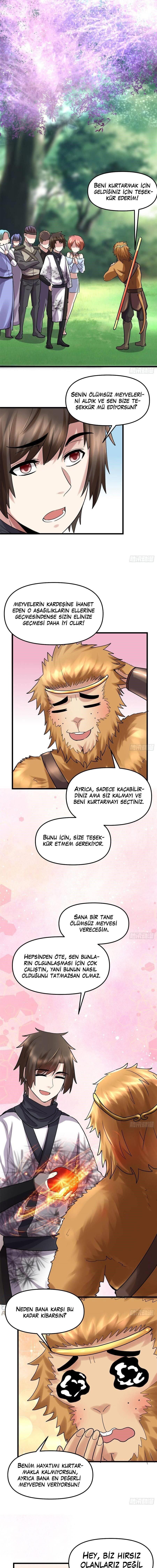 13-cm5ya3xt20000eovjogi0rsko