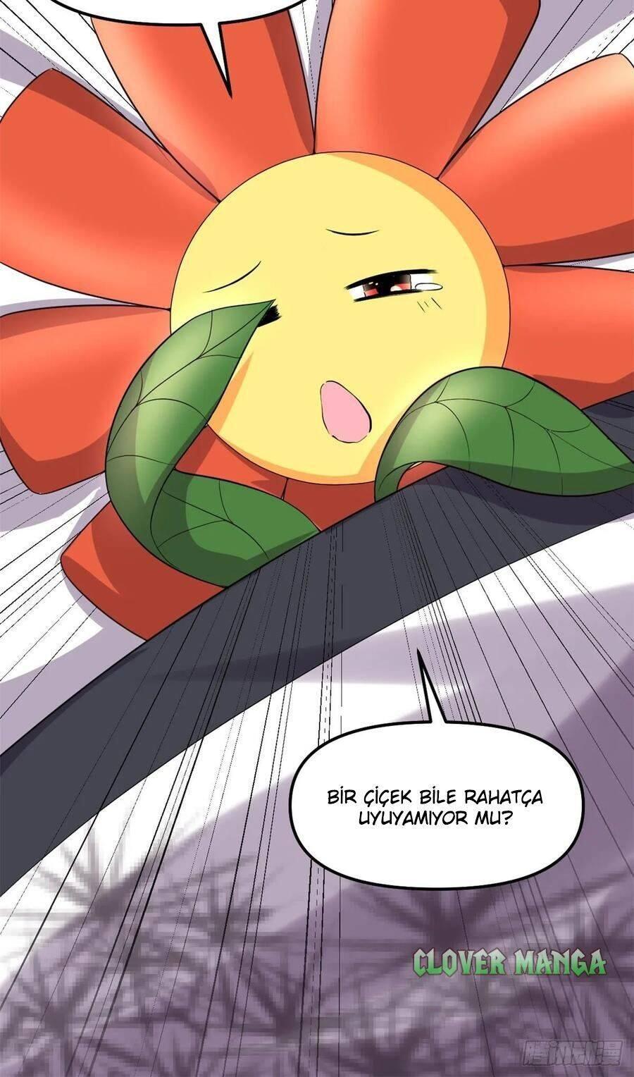 35-cm5ya3xt20000eovjogi0rsko