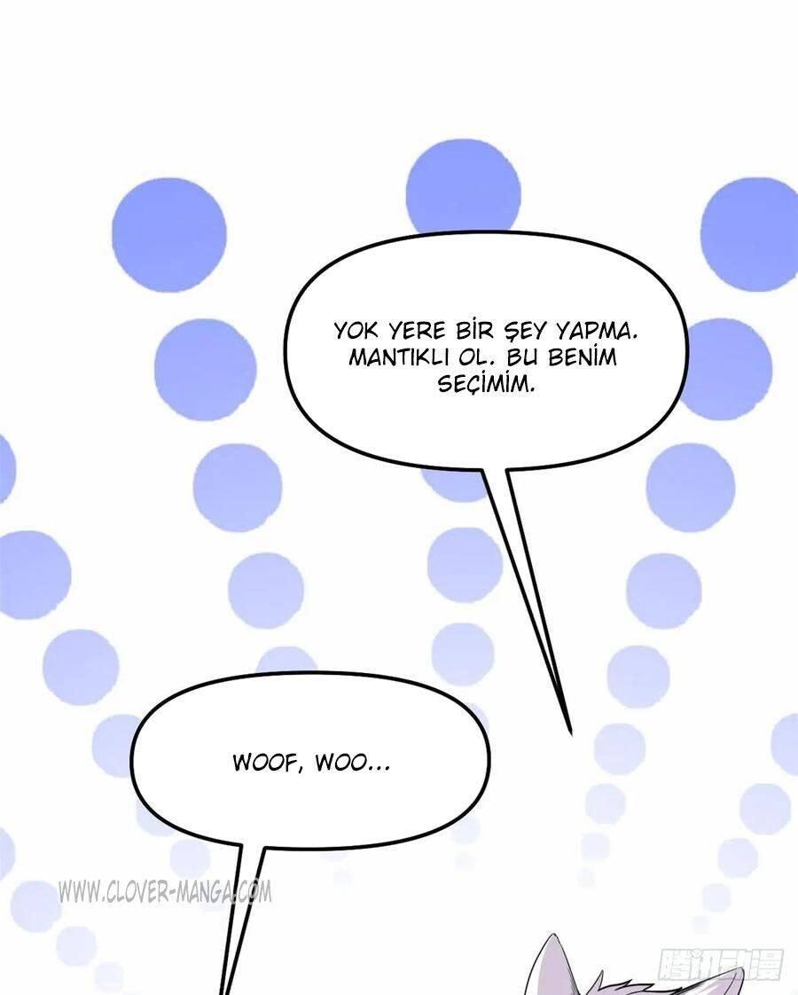 16-cm5ya3xt20000eovjogi0rsko