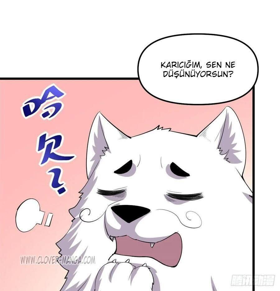 50-cm5ya3xt20000eovjogi0rsko