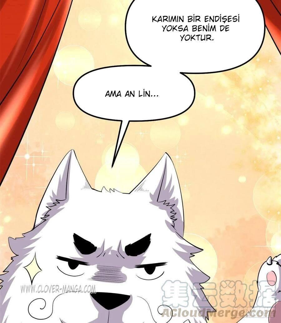 53-cm5ya3xt20000eovjogi0rsko