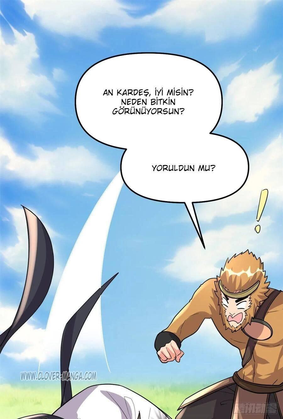 35-cm5ya3xt20000eovjogi0rsko
