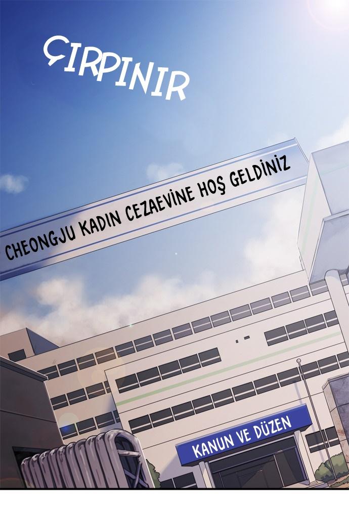 1-cmc1vvo430025phxcd4xhnki2