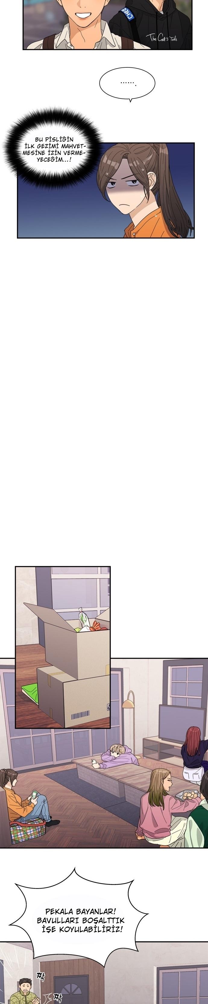 8-cmc1vvo430025phxcd4xhnki2