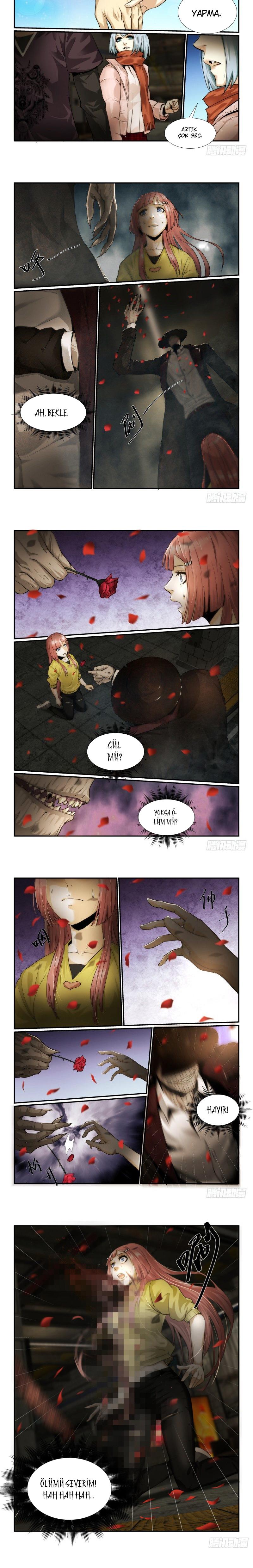 5-cm2xdfr0s0001tt82570od8ls