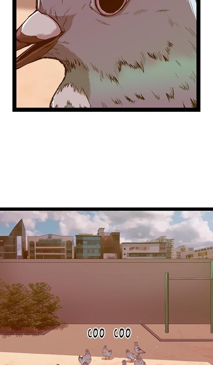 5-cmnq2268807i4ucwa0pciz3a1