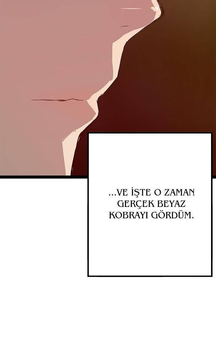 7-cmnq2268807i4ucwa0pciz3a1