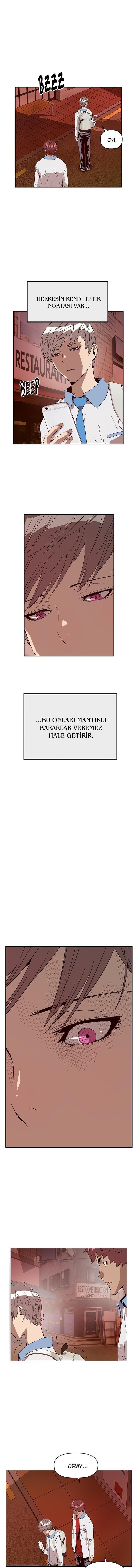 13-cmnq2268807i4ucwa0pciz3a1