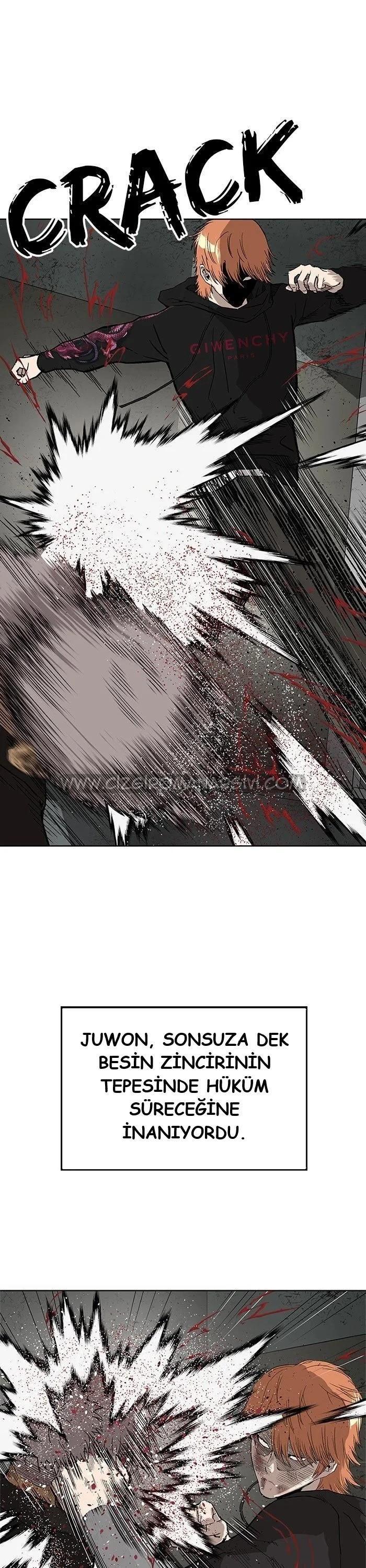 37-cmnq2268807i4ucwa0pciz3a1