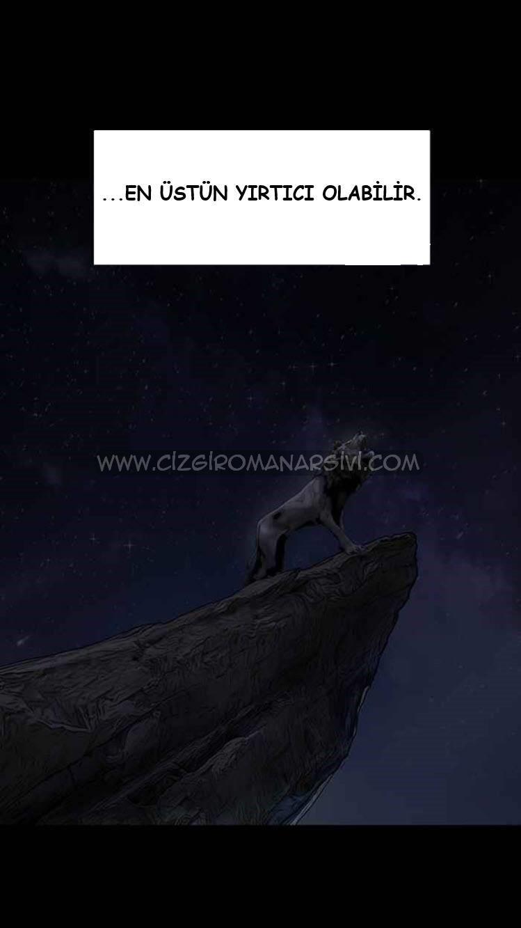 13-cmnq2268807i4ucwa0pciz3a1