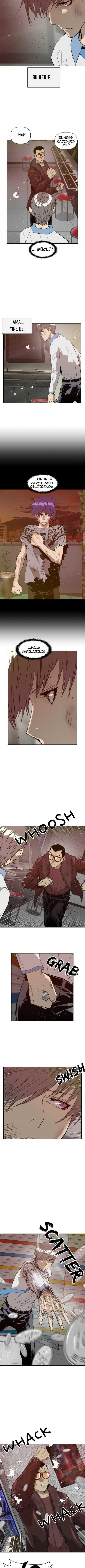 7-cmnq2268807i4ucwa0pciz3a1
