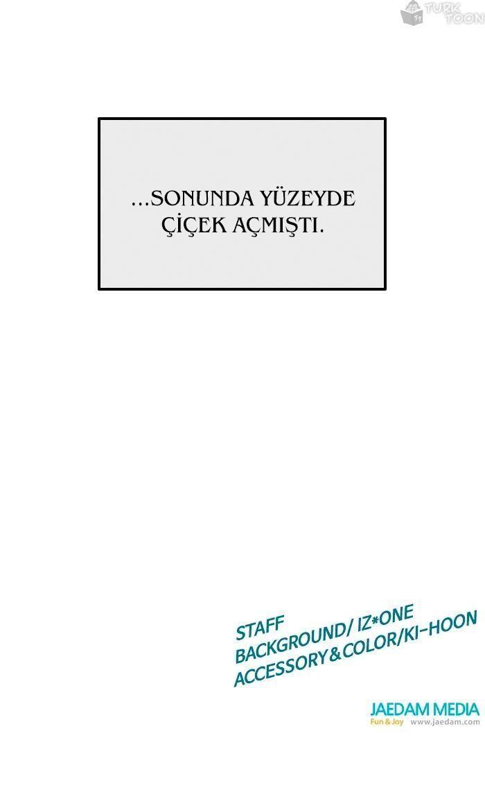 60-cmnq2268807i4ucwa0pciz3a1