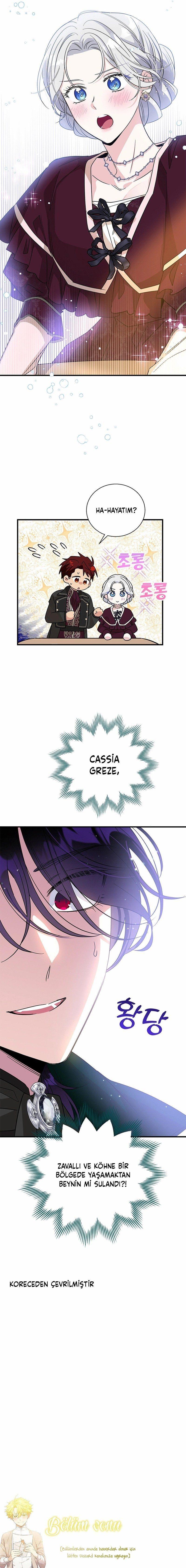 8-cmnq2268807i4ucwa0pciz3a1
