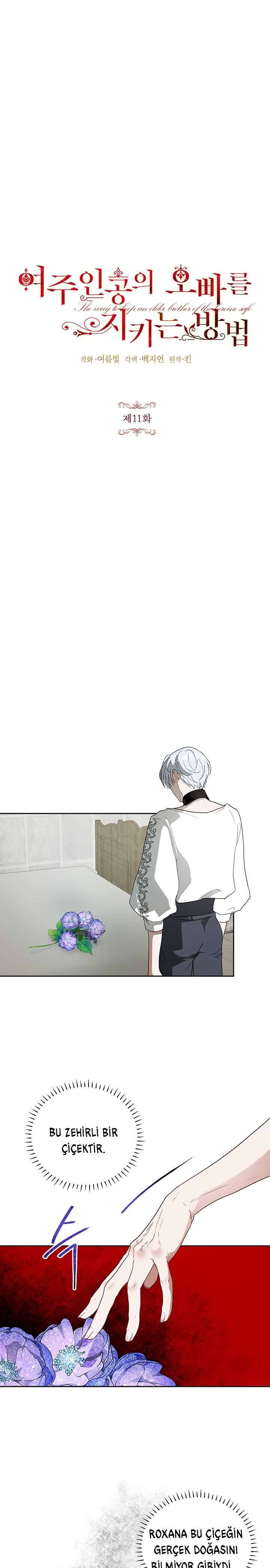 3-cm2xdfr0s0001tt82570od8ls