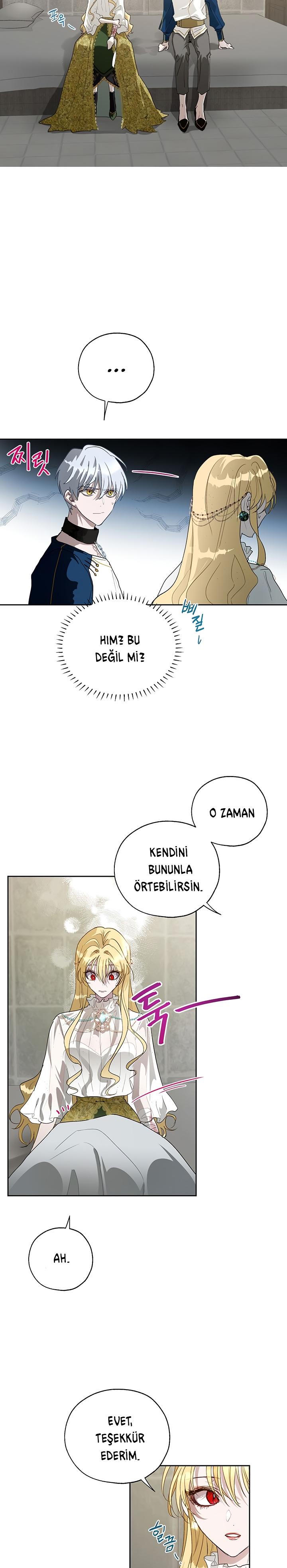 17-cm2xdfr0s0001tt82570od8ls