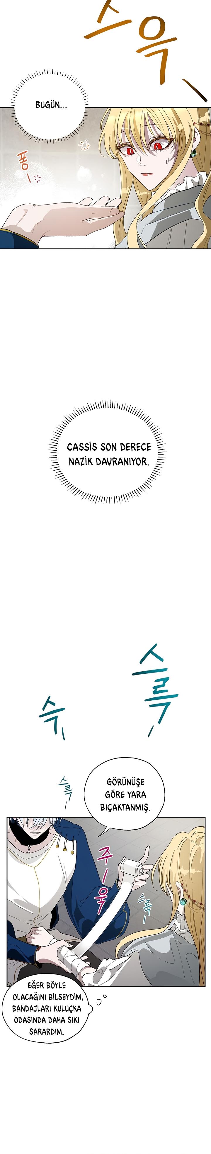 19-cm2xdfr0s0001tt82570od8ls