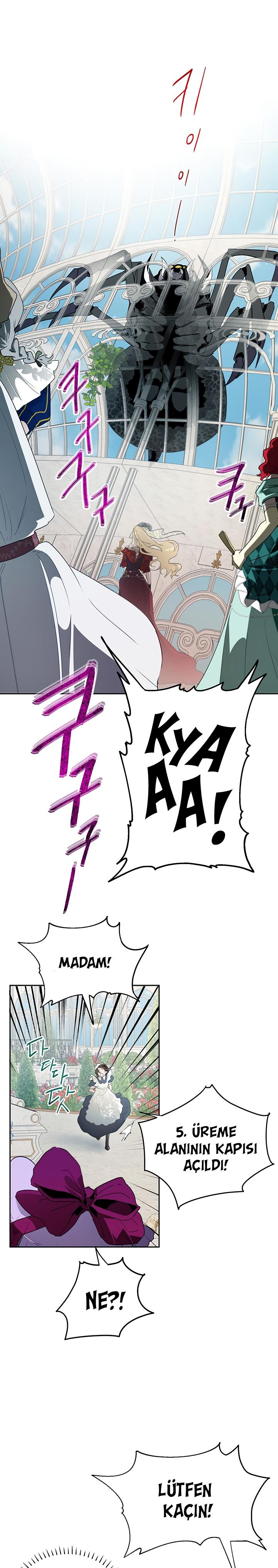 2-cm2xdfr0s0001tt82570od8ls