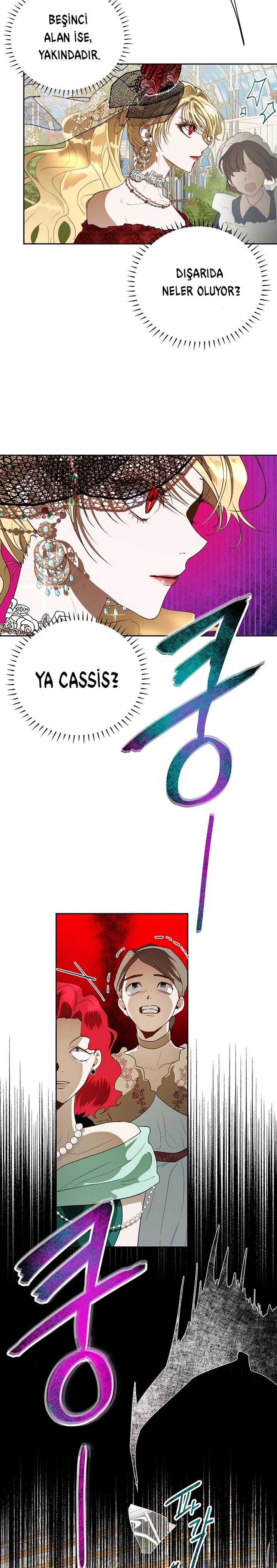 3-cm2xdfr0s0001tt82570od8ls