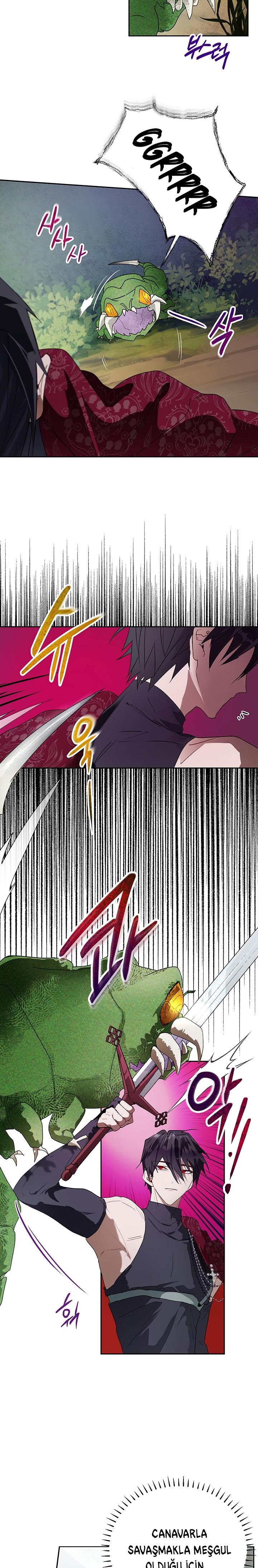 14-cm2xdfr0s0001tt82570od8ls