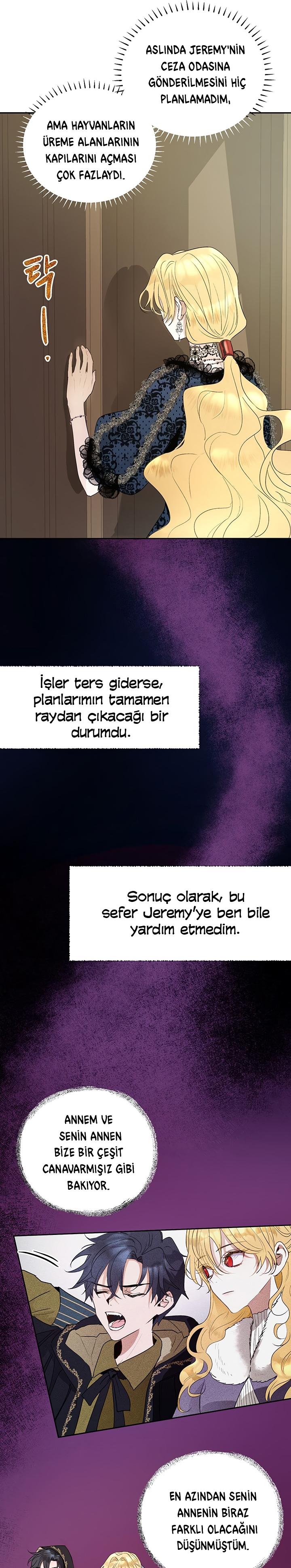 3-cm2xdfr0s0001tt82570od8ls
