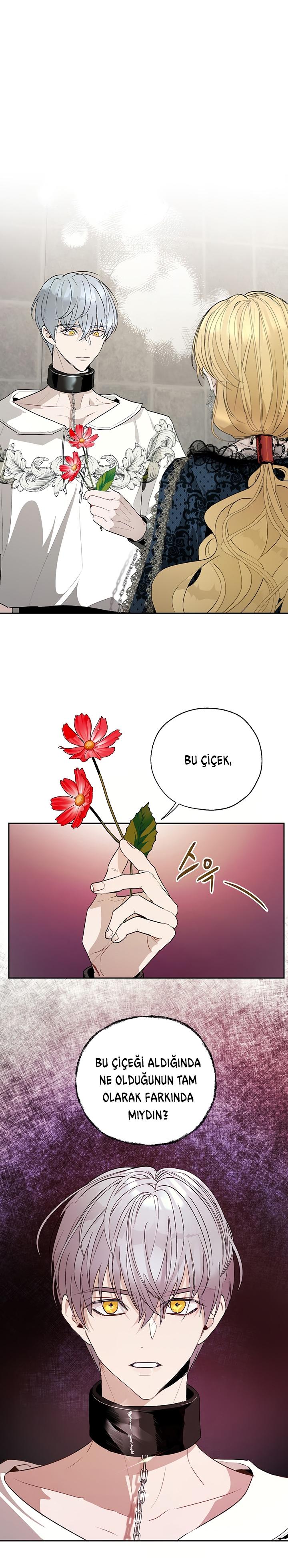 2-cm2xdfr0s0001tt82570od8ls