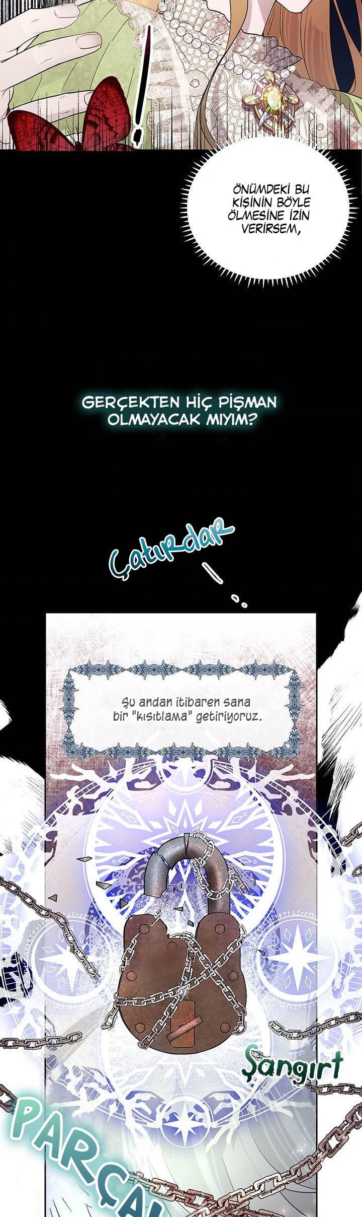 20-cm2xdfr0s0001tt82570od8ls